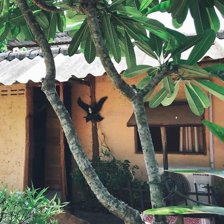 Tiddin Resort Чиангмай Экстерьер фото